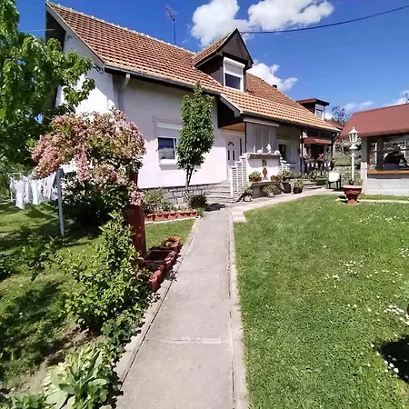 Zvezdane Veceri Rudnik