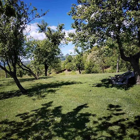 Daire Zvezdane Veceri *