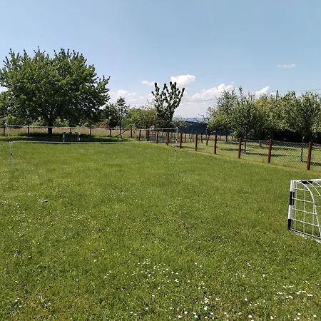 Zvezdane Veceri Rudnik