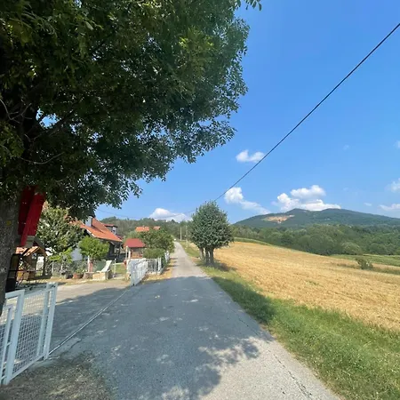 Zvezdane Veceri