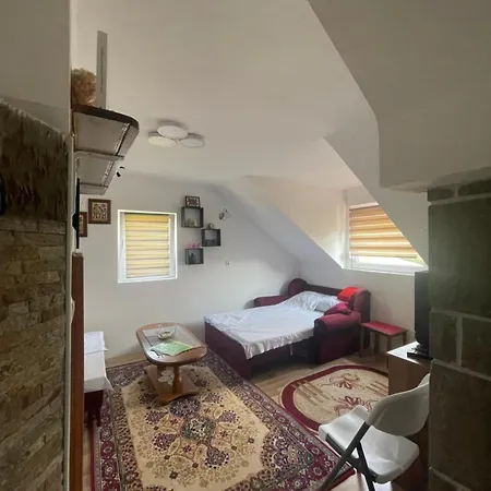 Zvezdane Veceri Rudnik