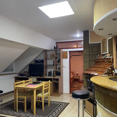 Daire Zvezdane Veceri Rudnik