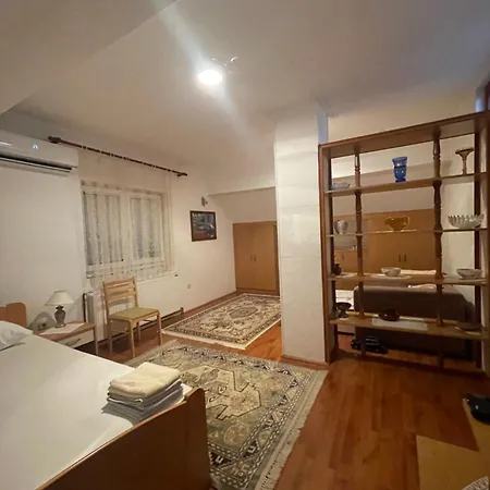 Zvezdane Veceri Rudnik