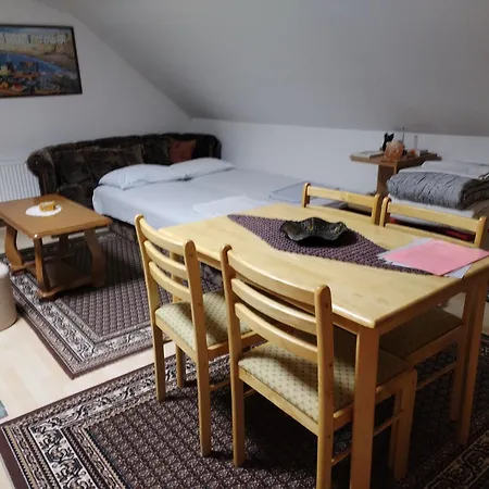 Zvezdane Veceri * Rudnik