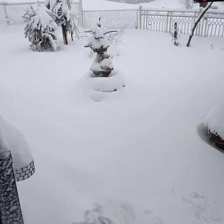 Zvezdane Veceri * Rudnik