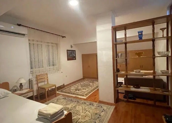 Zvezdane Veceri Rudnik